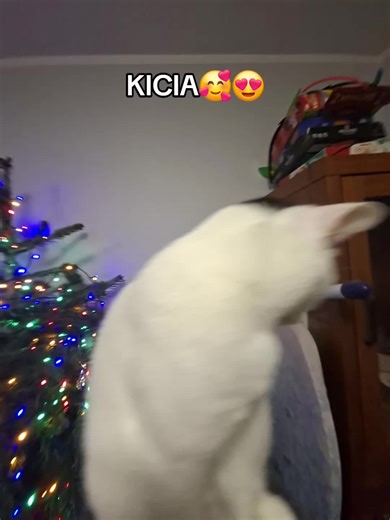 Filmy użytkownika Yung Kasti (@kastrat.554) z muzyką SM64 Select a File - MARIO MUSIC!