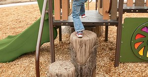 Log Steppers - Natural-Looking Stumps - Landscape Structures