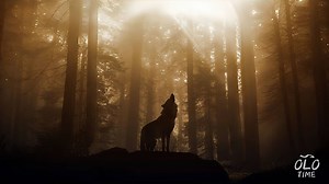 好过瘾的一首歌，听完就像参加了一场原始部落的亡灵仪式