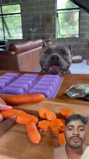 Mind-blowing Gadgets and tools Revealed 🥰 #shorts #Gadgets