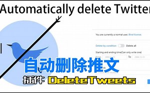 DeleteTweets-一键自动删除推文