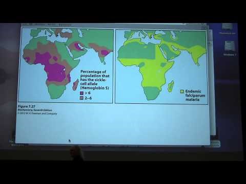 Ahern's Biochemistry #9 - Hemoglobin II & Enzymes I