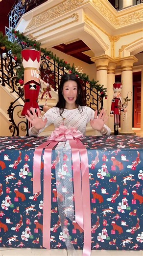 Unboxing Luxury Christmas Present