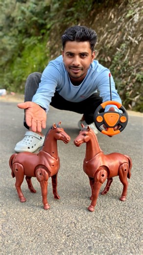 Rc Remote Control 2 Horse Unboxing and testing