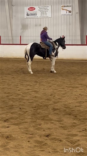 ⭐️TEXAN DRY DOC⭐️ 🔔RANCH HORSE🔔 Doc is a 2 year old APHA black & white tobiano gelding that stands 15 hands tall and would make the perfect ranch horse. Make this horse your 🎄Christmas present 🎁 for the upcoming year moving cows, in the branding pen or coving miles checking pasture, Doc is smooth, soft and stylish! Sired by Texas Freedom and grandson to Dry Doc Freedom( offspring earning over $80,000) Out of the dam Doc Sliver Treasure, a daughter to Dox Silverado Sand and granddaughter to D