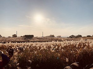 How the world's tallest trash mountain became Seoul's 'sky' park