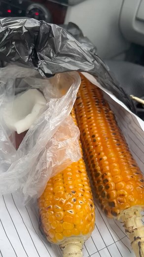 The best snack in town (after Okpa) #awka #ube and #aki 🌽🥥🥑 I am considering getting a small grill or wheelbarrow and roasting corn in Switzerland- this thing will make sense!!! | Nwanyiocha