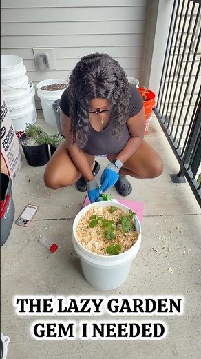 How I Sprinkle Diatomaceous Earth the EASY Way 🌱
