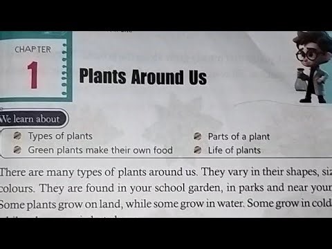 Class 2 Science || Chapter-1 Plants Around Us || Full Lesson Question Answer & Exercise Solution