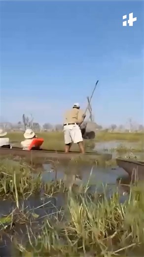 Terrifying moment a bull elephant attacks tourist canoes in Botswana after they drift too close to its calves. Everyone survived — but experts say the tourists were lucky to be alive. #botswana #elephantattack #wildlife #safari #okavangodelta #animalencounter #naturewild #viralvideo #travelnews #tourists #africa | Indiatimes