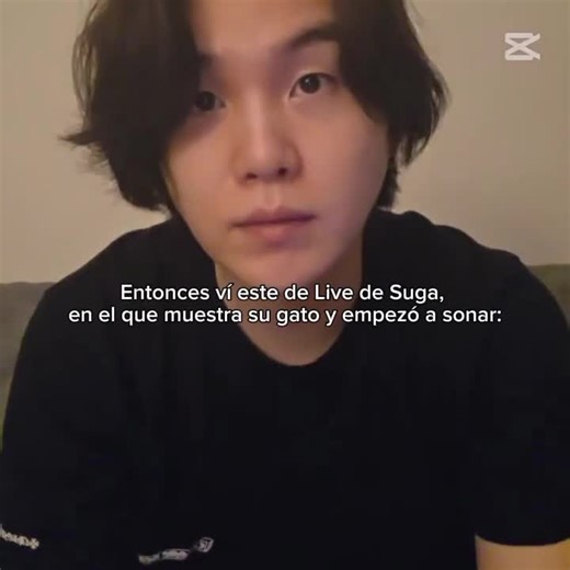 Bagheera y Suga: un amor peculiar y gatuno