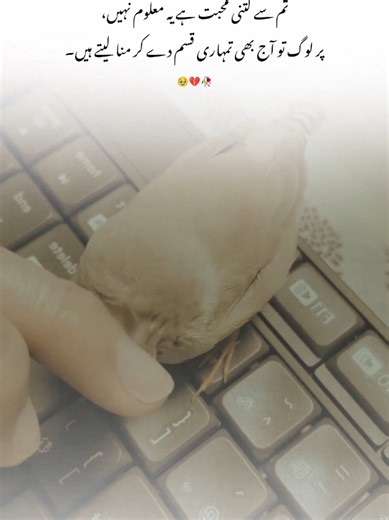 Unbelievable Poetry from Pakistan