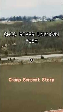 Ohio River fishing for Cryptids + another Baby Champ story! #cryptozoology