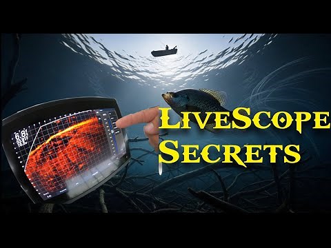 Unveilling The Ultimate LiveScope Setup (Gear and Settings Revealed)