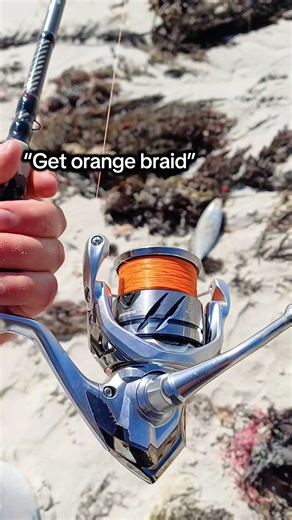 The Truth About Blue Braids: Facts and Tips