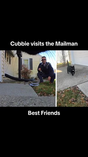 Rare Human Sighting of Maxwell the Cat Meowing!