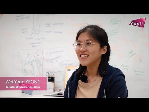 Studying veterinary medicine in CityU Hong Kong