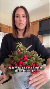 Add a fresh holiday plant to your decorating! 🌱 A wintergreen holiday shrub adds festive charm in containers with its shining green foliage. Pair it with your favorite holiday decorations and enjoy brilliant red berries all winter long. ⭐️ PRO TIP: To ensure a wintergreen shrub lasts indoors all winter, keep moist in an area with bright indirect light! ➡️ Have you tried growing a wintergreen shrub before? Credit to @original.muse for this festive table design. #wintergreenshrub #wintergreen #ho