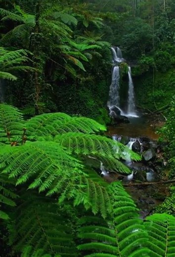 Waterfall Jungle Seed Minecraft#nature#travel#shorts