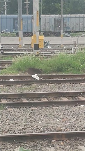 Morni #youtubeshorts #newsong #short