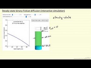 Steady State Binary Fickian Diffusion (Interactive Simulation)