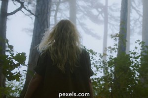 Nature Shorts Videos, Download The BEST Free 4k Stock Video Footage & Nature Shorts HD Video Clips