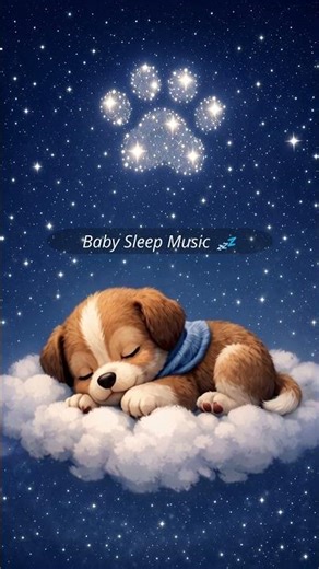Paw Patrol Lullaby 🐾 | Baby Sleep Music