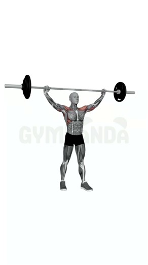 Barbell Front Squat - Perfect Form Guide #shorts