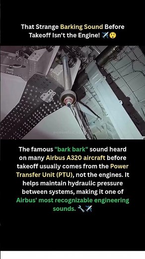 That Strange Barking Sound Before Takeoff Isn't the Engine! ✈️🐶🤯