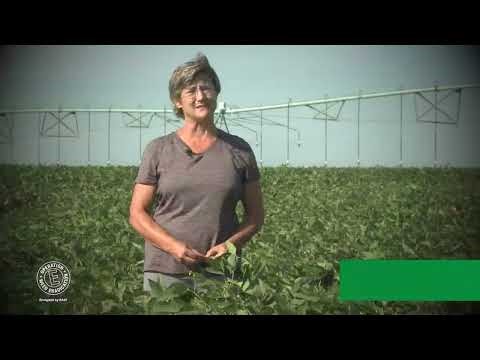 Soy Herbicide Adjustments & Crop Rotation with Farmer Tracy Zink