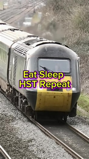 Exploring Class 43 Trains at Prouts Bridge