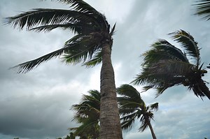 Wind Deductible Buybacks Lessen Blow from High Premiums and Frequent Storms – Orchid Insurance