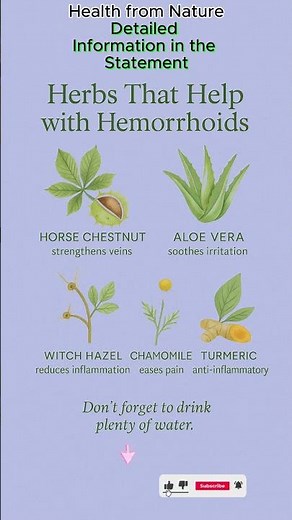 Herbs That Help with Hemorrhoids 🌿 | Natural Remedies for Pain and Inflammation Relief