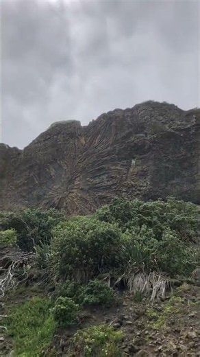 During Field Work | Amazing Columnar Jointing in Volcanic Rock #Shorts