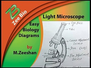 Easy labeled diagram of Microscope