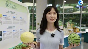 262K views · 195 reactions | How does sci-tech innovation help predict future of seeds? Click the video to explore the secrets of their cultivation in the Nanfan "Silicon Valley." #GLOBALink | China Xinhua News | Facebook