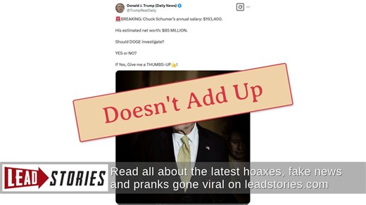 Fact Check: Sen. Chuck Schumer's Estimated Net Worth Is NOT $85 Million -- It's Much Less | Lead Stories