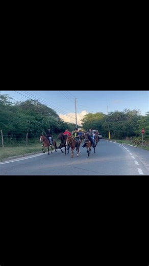 6.8K views · 139 reactions | Gracias a todos súper Vieques  Gran Cabalgata 2025 鱗 Colón Horse Riding at Vieques island Granjeritos Vieques Rancho Chueko Costura & Bordados by Abby Agrocentro KL | Johnny Colon | Facebook