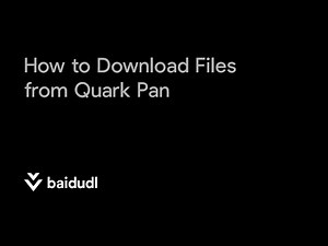 How to Download Files from Quark Pan | BAIDUDL