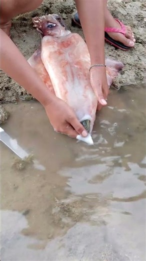 Catching Giant Squid with a Big Fish Inside! 🦑🐟 | Primitive Coastal Survival Discovery
