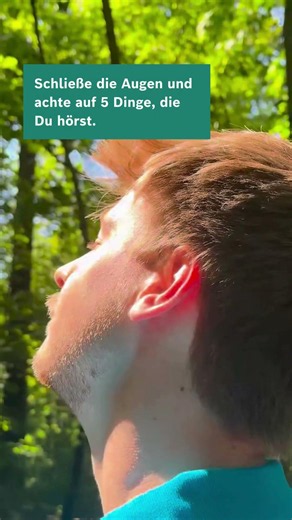 Pflanzen gegen Stress? So geht's!