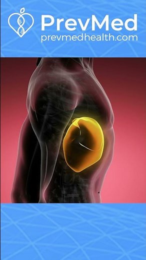 #SHORTS A hidden effect of statins revealed