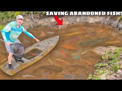 I Found Rare Fish in an Abandoned Pond!