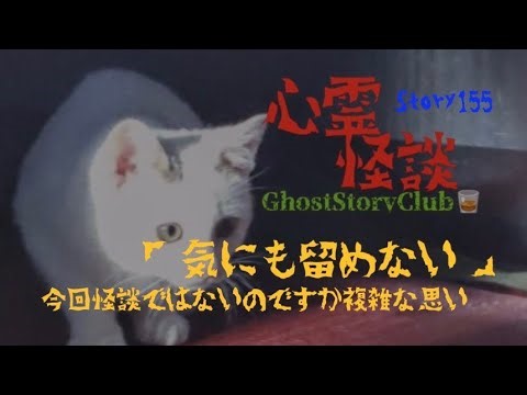 心霊怪談Story155「気にも留めない」😱#GhostStoryClub🥃#恐怖 #怪現象 #怖い話 #ホラー #都市伝説
