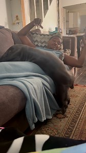 Poor baby 🤣 | Furry Tails