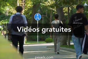 Brima+legs vidéos de stock libres de droits