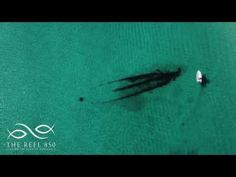 Breathtaking view of a shipwreck in Florida (Percy Payne Wreck - Panama City Beach)