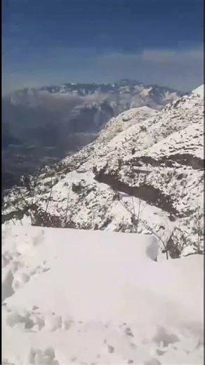 Snowfall in Winter | Calm & Soothing Nature Moments