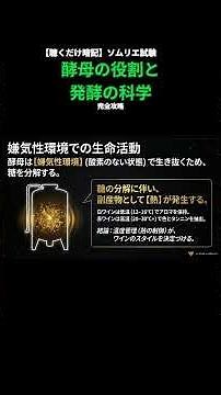 ・醸造学「酵母の役割と発酵の科学」を完全攻略！ 【聴くだけ暗記】ソムリエ試験