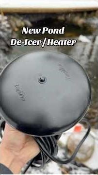 Will This Pond Heater Keep the Ice Away? ❄️🔥🐟